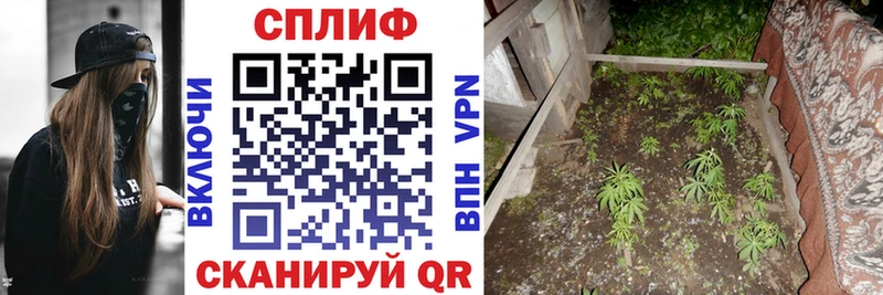 Купить ГАШ Альфа ПВП Меф мяу мяу Марихуана Нерчинск