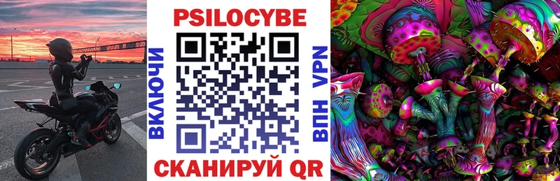 Галлюциногенные грибы Psilocybe  Купить где  Нерчинск 