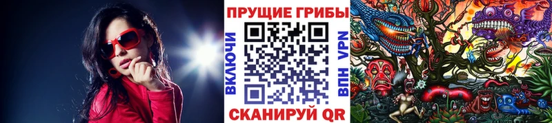 Галлюциногенные грибы Magic Shrooms Нерчинск